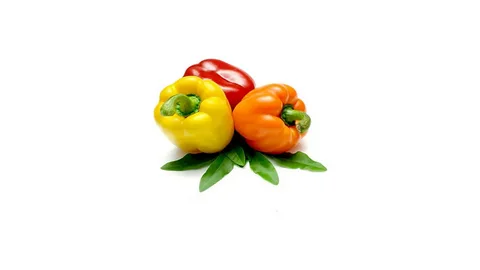 تصویر 3 از فلفل دلمه رنگی سبد فصلی تنوع شاداب روزمره